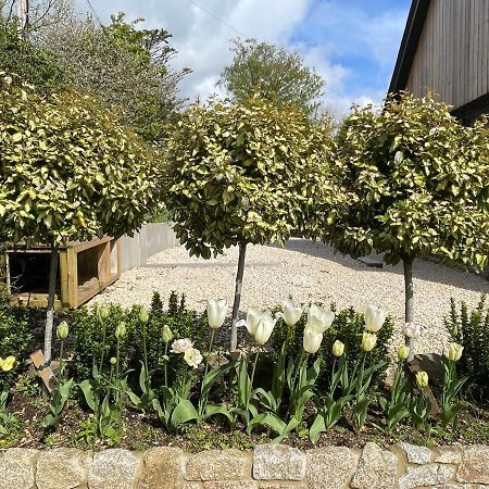 Cedar House Guest House Ilsington ภายนอก รูปภาพ