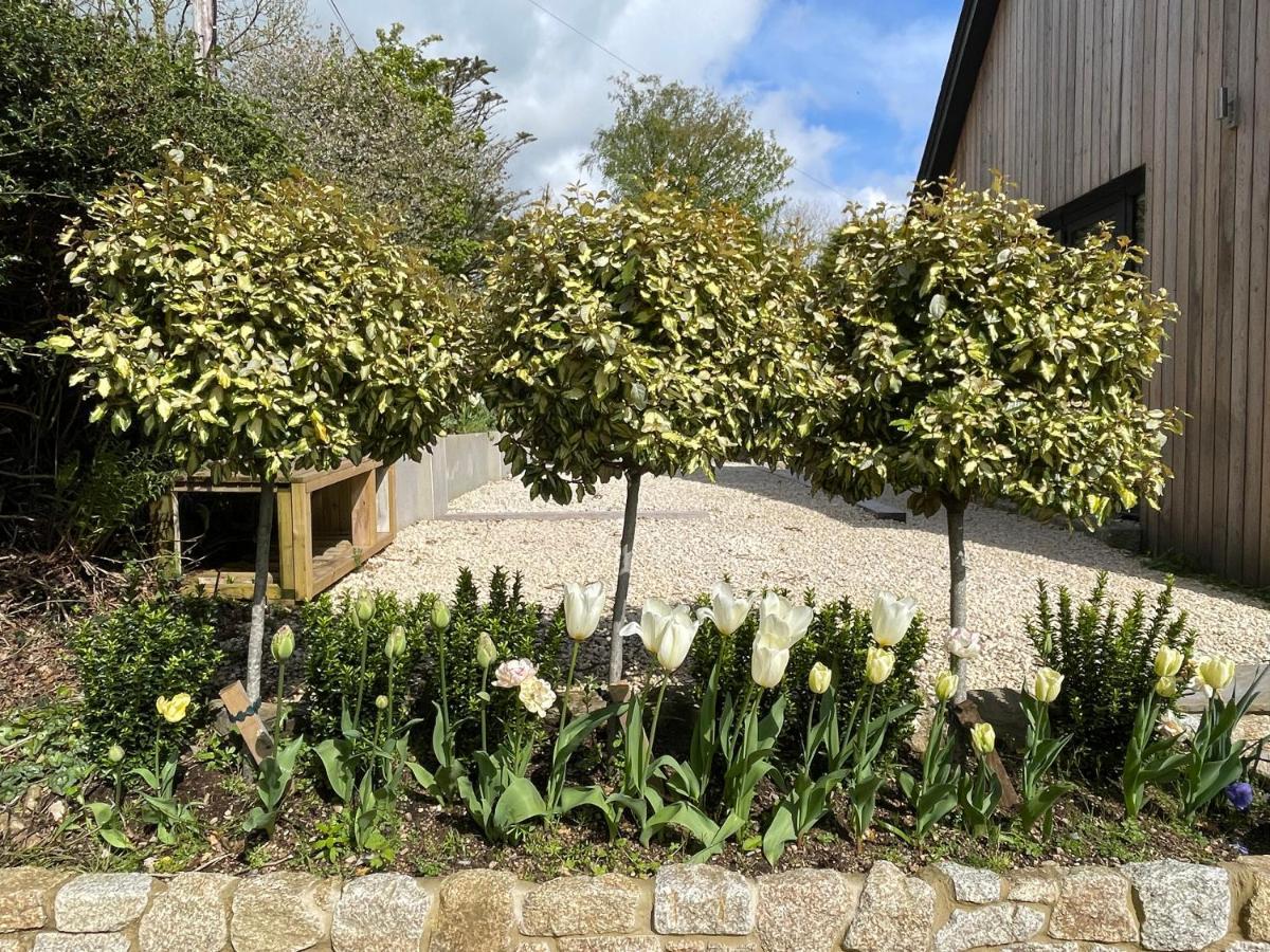 Cedar House Guest House Ilsington ภายนอก รูปภาพ